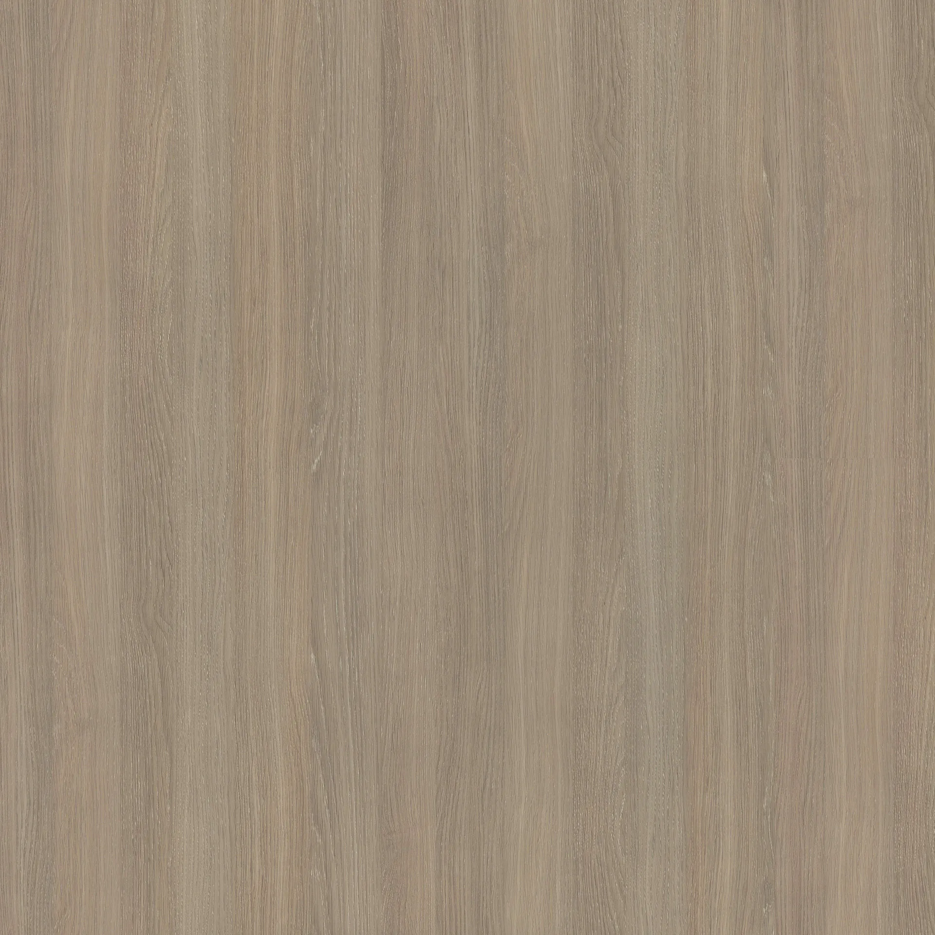 R20064 NW Grey Mountain Oak Edge Band