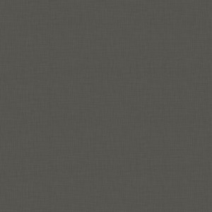 F76169 SX Costa Anthracite ABS Edge Band