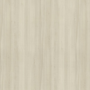 R24053 SD Talinn Beech